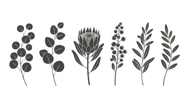 Black silhouettes of various plants and flowers on white background