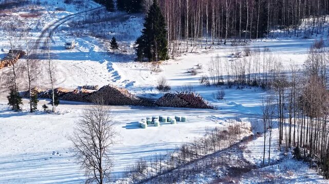Rows of harvested logs blanketed by snow in open winter countryside, telephoto aerial tracking left