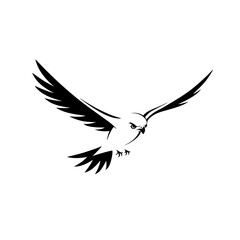 Fototapeta premium Falcon. Falcon simple black and white line art vector logo