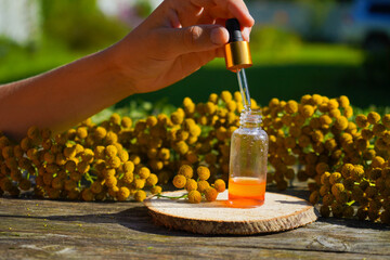 Tansy essential oil in a glass bottle on a wooden background near yellow tansy flowers. Tincture extract with medicinal tansy. Herbal medicine concept. spa © Ирина Старикова
