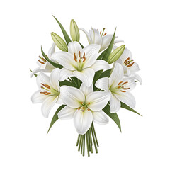 Fototapeta premium A bouquet of white lilies on transparent background