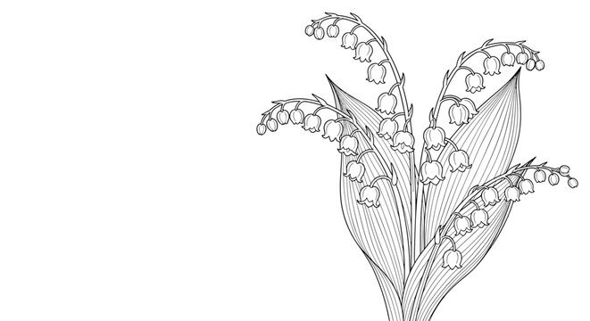A detailed black and white line art illustration of a bouquet of lily of the valley flowers on a white background with ample copy space.