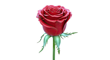 Fototapeta premium Close-up of a perfect red rose with green sepals and stem