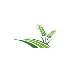 Obraz premium Green crops & field