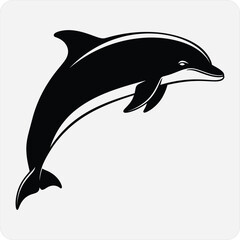 Obraz premium Black and white dolphin jumping out of water