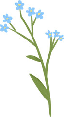 Fototapeta premium 파란 물망초