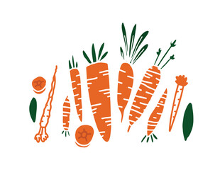 Hand drawn carrot illustration with leafy tops arranged in a decorative composition. Flat vector vegetable artwork suitable for food branding, kitchen decor, healthy lifestyle projects