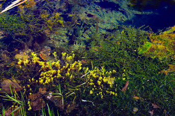 rando dans les Combrailles, Auvergne, 63