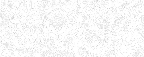 Technology abstract lines on white background. Undulate Grey Wave Swirl, frequency sound wave, twisted curve lines with blend effect.