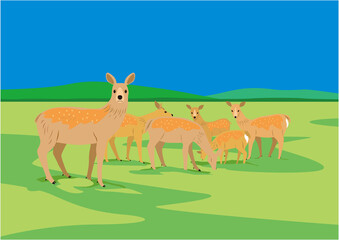 夏の湿原にいるエゾシカの雌の群れのイラスト