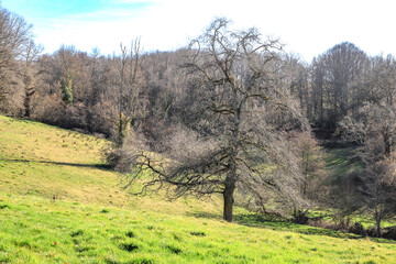 rando dans les Combrailles, Auvergne, 63
