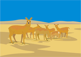 秋の湿原にいるエゾシカの雌の群れのイラスト