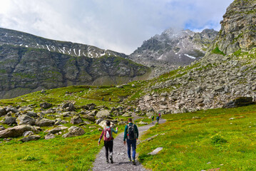 Fototapeta premium Wanderweg von der Pizolhütte zum Wildsee (5-Seen-Wanderroute) im Pizolmassiv, Kanton St. Gallen, Schweiz