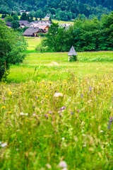 Obraz premium In the green. Slovenia and Lake Kranjska Gora. Julian Alps