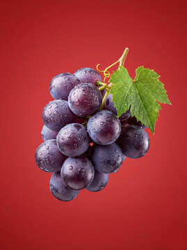 Cacho de Uvas Roxas Frescas em Fundo Vermelho Vibrante