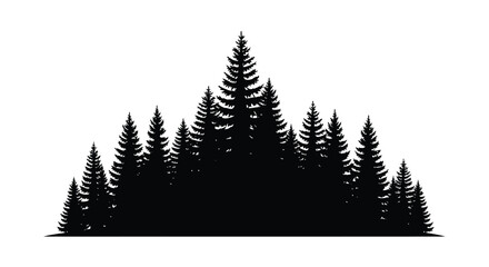 Dense forest of evergreen trees creates a striking dark silhouette © MdRabby