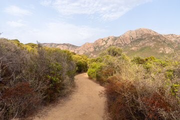 Fototapeta premium Winding dirt path through Corsican maquis landscape with mountains