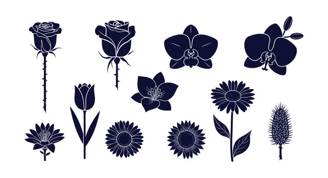 Detailed Botanical Silhouette Vector Collection Elegant Rose Orchid Sunflower Tulip Floral Graphics Set