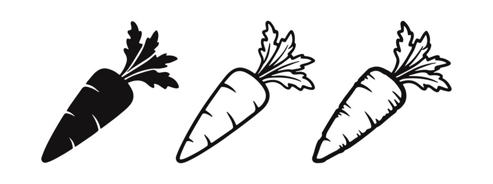 Carrot icon set with leaves in solid, outline, and hand-drawn styles, a symbol of fresh and healthy food.