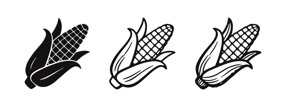 Corn cob icon set in solid, outline, and hand-drawn styles with husks, depicting a farm fresh vegetable.
