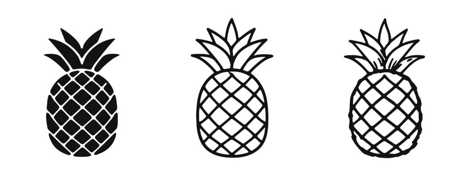 Pineapple icon set in solid, outline, and hand-drawn styles with crown, depicting a fresh tropical fruit.
