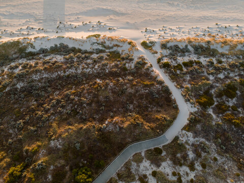 Aerial view of a winding path cutting through the sun-kissed dunes and vibrant coastal scrub, leading to the pristine beach, Two Rocks, Western Australia, Australia.