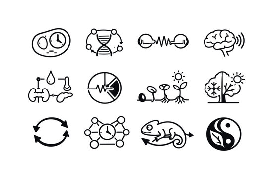 Biological timing systems. Line outline icon set of Biological timing systems: cellular clock, gene expression