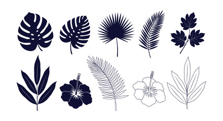 Exotic Tropical Leaves and Hibiscus Flowers Vector Set Botanical Summer Design Elements © vectorial
