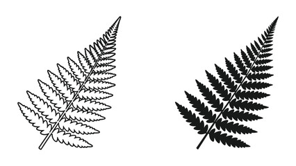 Fern leaf vector outlines and silhouette, natural plant graphics on white background