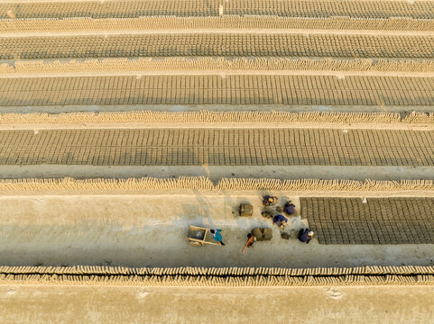 Aerial view of neat rows of bricks drying under the sun, with workers scattered at the Aminbazar brickyard, Dhaka, Bangladesh.