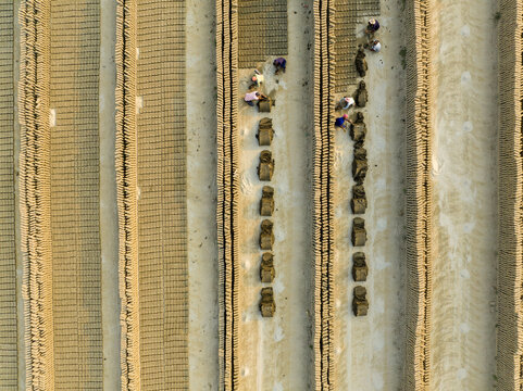 Aerial view of workers toiling amidst the geometric patterns of brickfields, a gritty tapestry of labor and industry, Aminbazar, Dhaka Division, Bangladesh.