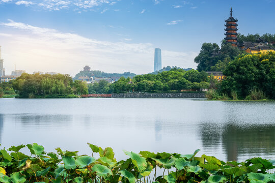 Scenic Lake with Pagoda and Urban Skyline