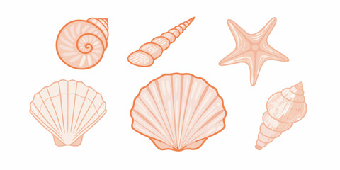 A collection of pastel orange seashells and a starfish illustration