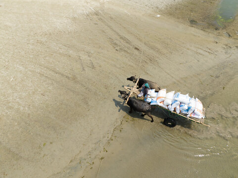 Aerial view of a bullock cart laden with white sacks trudges through the sandy riverbank under the bright sun, Rajshahi, Rajshahi Division, Bangladesh.