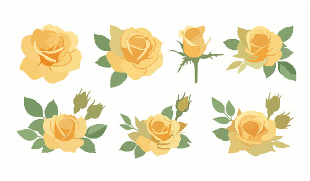 Watercolor yellow rose flower clipart collection on white background
