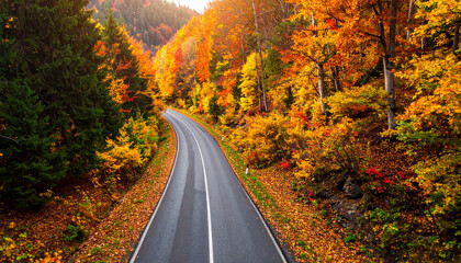 Scenic road through a mountain forest with vibrant autumn colors and foliage highway