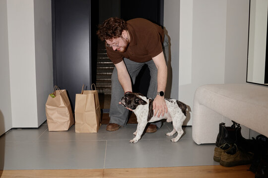 Caucasian young adult man bending down greeting French Bulldog near paper grocery bags in modern hallway, smiling and petting dog, casual home setting visible