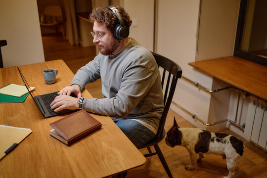 Caucasian young adult man wearing headphones working on laptop at wooden desk with notebook and coffee mug while French Bulldog standing nearby in home office setting