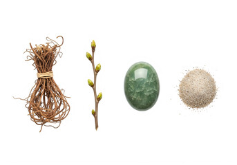 Obraz premium A collection of four natural objects on a white background isolated on transparent background