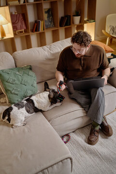 Caucasian young adult man sitting on sofa holding laptop and playing with French Bulldog using rope toy, looking at dog while relaxing in living room with bookshelves in background