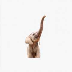 Young elephant with raised trunk showing curiosity and innocence in a soft white background
