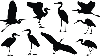 Obraz premium Set of black heron and crane bird silhouettes in various flying and standing poses for nature conservation wetland wildlife and swamp decoration