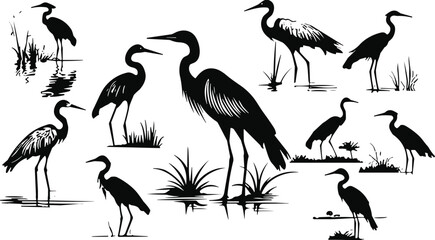 Obraz premium Set of black heron and crane bird silhouettes in various poses standing in water with marsh grass for nature conservation vector illustration