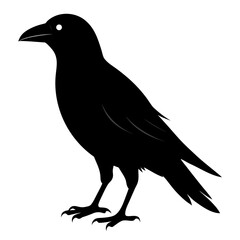 Obraz premium Silhouette of a black raven in profile displaying intricate feathering against a white background with bold outline and distinctive beak