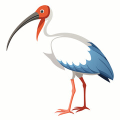 Obraz premium Elegant ibis with long beak and red head displaying graceful posture on white background in detailed digital artwork