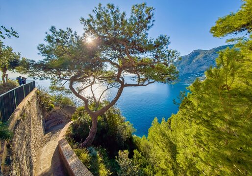 Isola di Capri (Campania, Italy) - The beautiful Capri island in the Naples gulf with awesome natural attractions. Here in particular with a typical landmark.