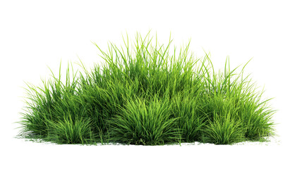 Vibrant Green Grass Patch Isolated on Black Background