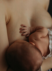Breastfeeding Mother Nursing Newborn Baby, Close Up Without Faces