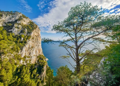 Isola di Capri (Campania, Italy) - The beautiful Capri island in the Naples gulf with awesome natural attractions. Here in particular with a typical landmark.