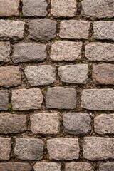 Obraz premium A close-up view of a cobblestone pavement with moss growing between the stones